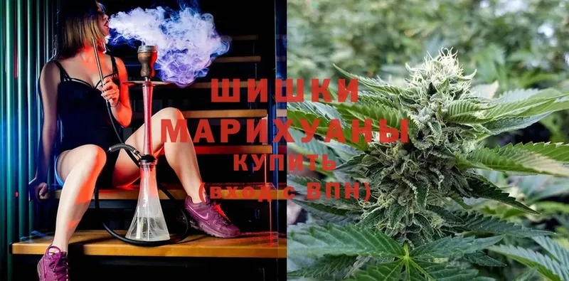 Шишки марихуана THC 21%  хочу наркоту  Ессентуки 